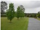 Taree NSW 2430