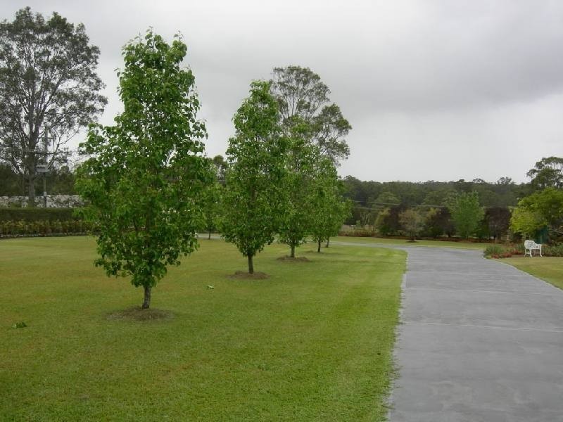 Taree NSW 2430