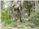 Nabiac NSW 2312