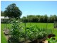 Coolongolook NSW 2423