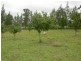 Dyers Crossing NSW 2429