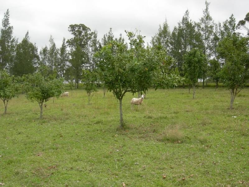 Dyers Crossing NSW 2429