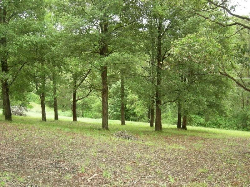 Rainbow Flat NSW 2430