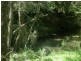 Bucca Wauka NSW 2429