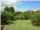 Taree NSW 2430