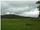 Dyers Crossing NSW 2429