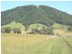 Wingham NSW 2429