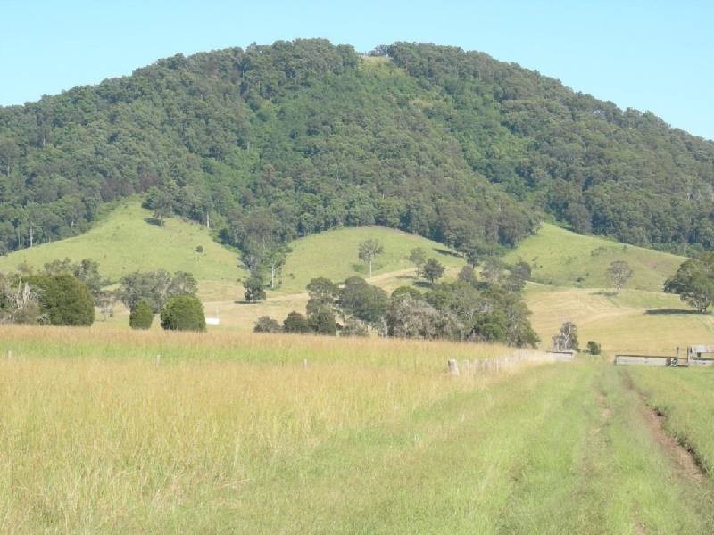 Wingham NSW 2429