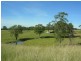 Wingham NSW 2429