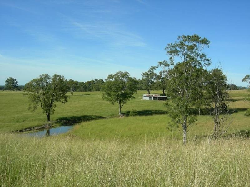 Wingham NSW 2429