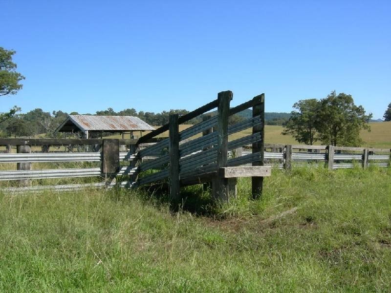 Wingham NSW 2429