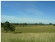 Wingham NSW 2429
