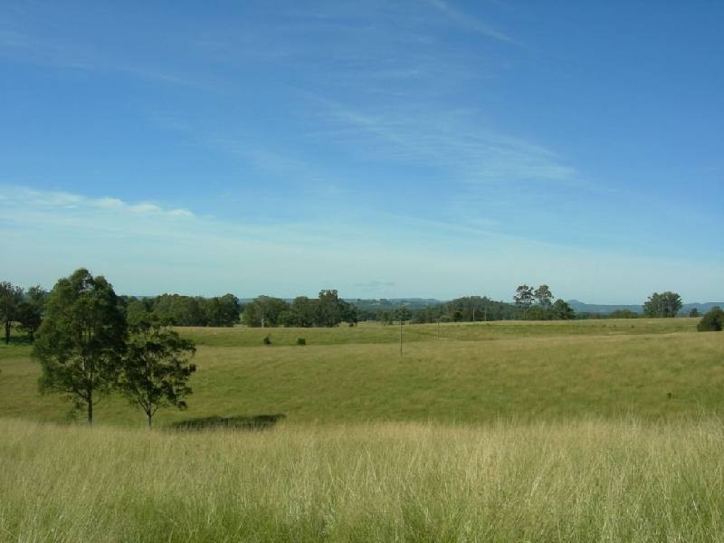 Wingham NSW 2429