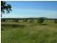 Wingham NSW 2429