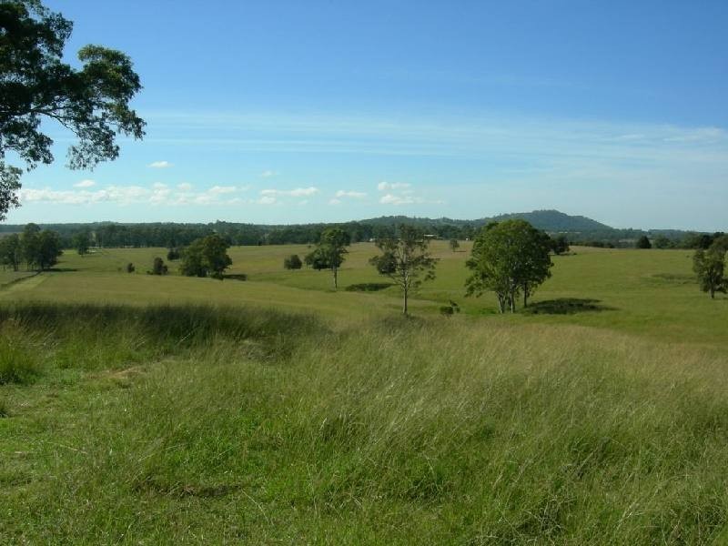 Wingham NSW 2429