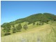 Wingham NSW 2429