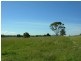 Wingham NSW 2429