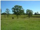 Wingham NSW 2429