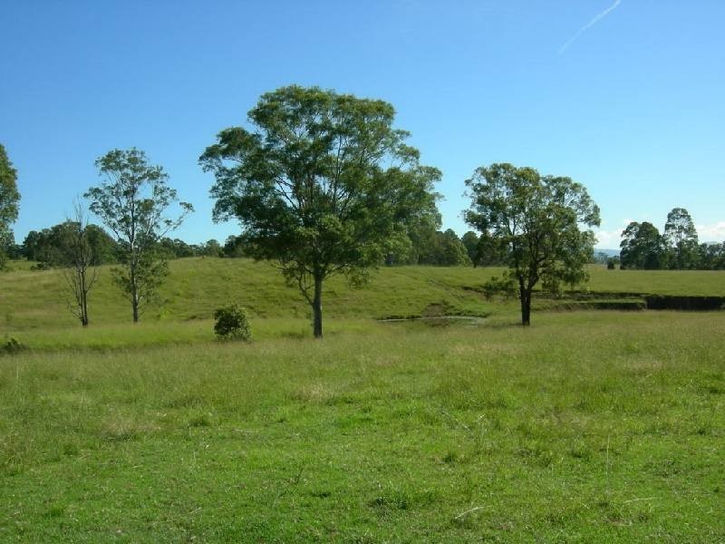 Wingham NSW 2429