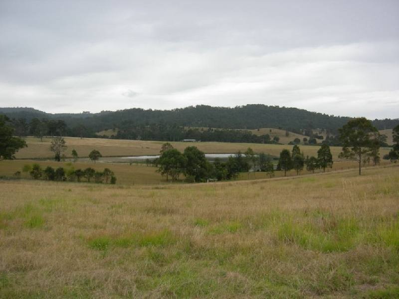 Firefly NSW 2429