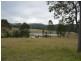 Firefly NSW 2429