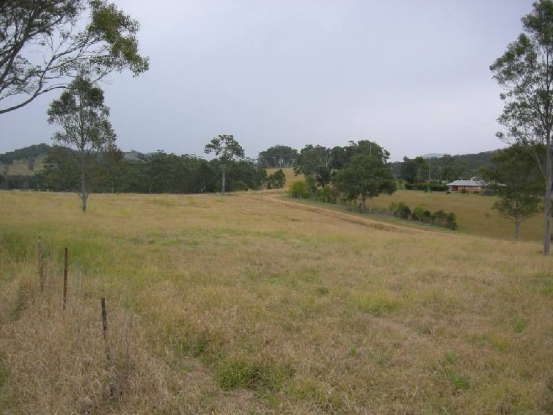 Firefly NSW 2429