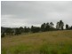 Firefly NSW 2429