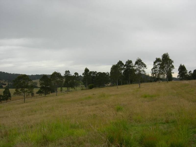 Firefly NSW 2429
