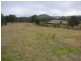 Firefly NSW 2429