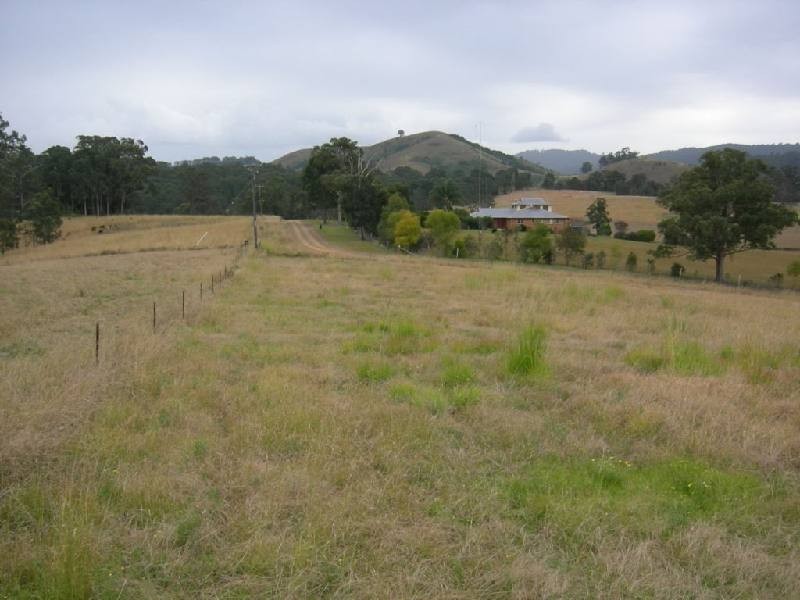 Firefly NSW 2429
