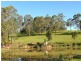 Firefly NSW 2429