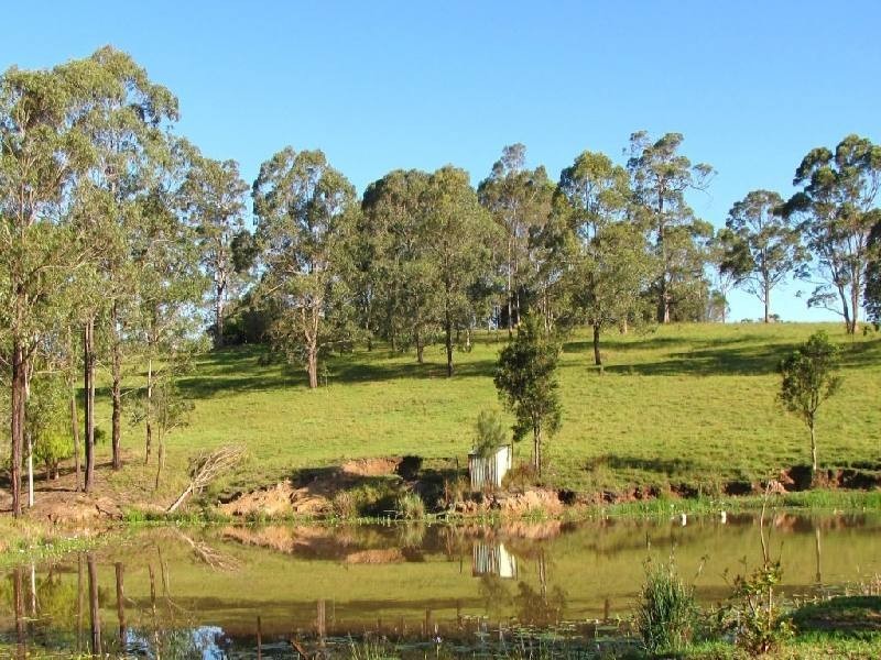 Firefly NSW 2429