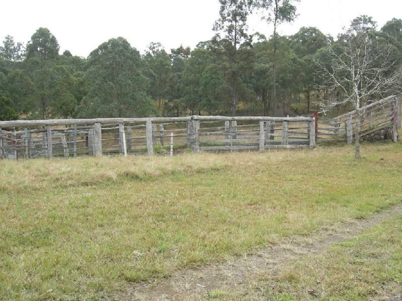 Firefly NSW 2429