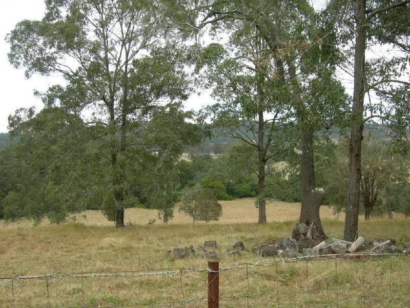 Firefly NSW 2429