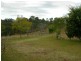 Firefly NSW 2429