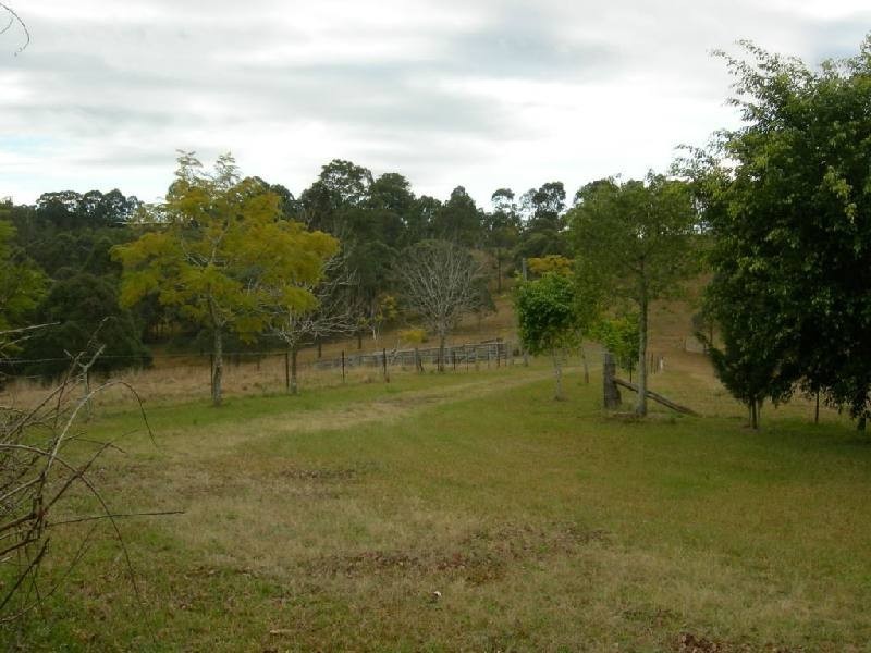 Firefly NSW 2429