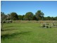 Krambach NSW 2429