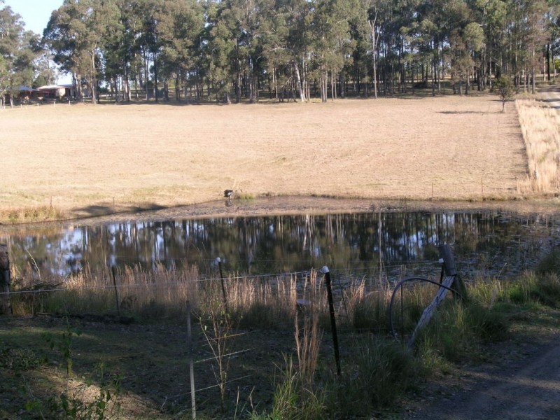 Krambach NSW 2429