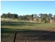 Krambach NSW 2429