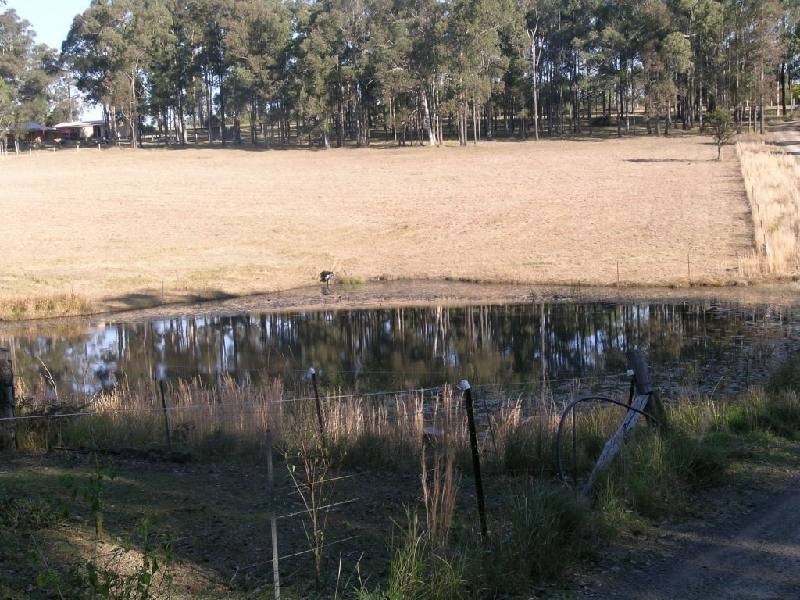 Krambach NSW 2429