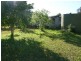 Krambach NSW 2429