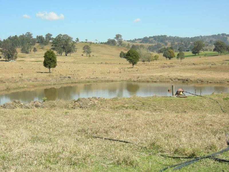 Burrell Creek NSW 2429
