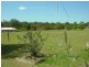 Taree NSW 2430