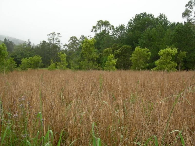 Coolongolook NSW 2423