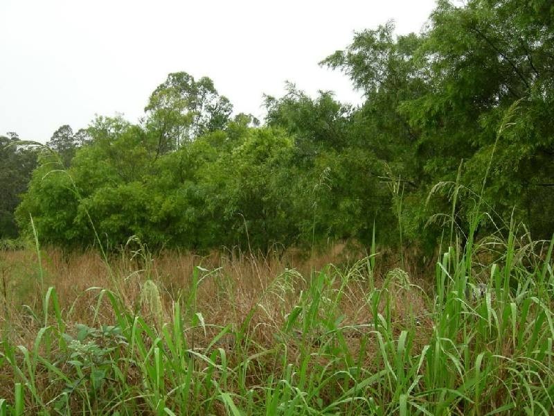 Coolongolook NSW 2423