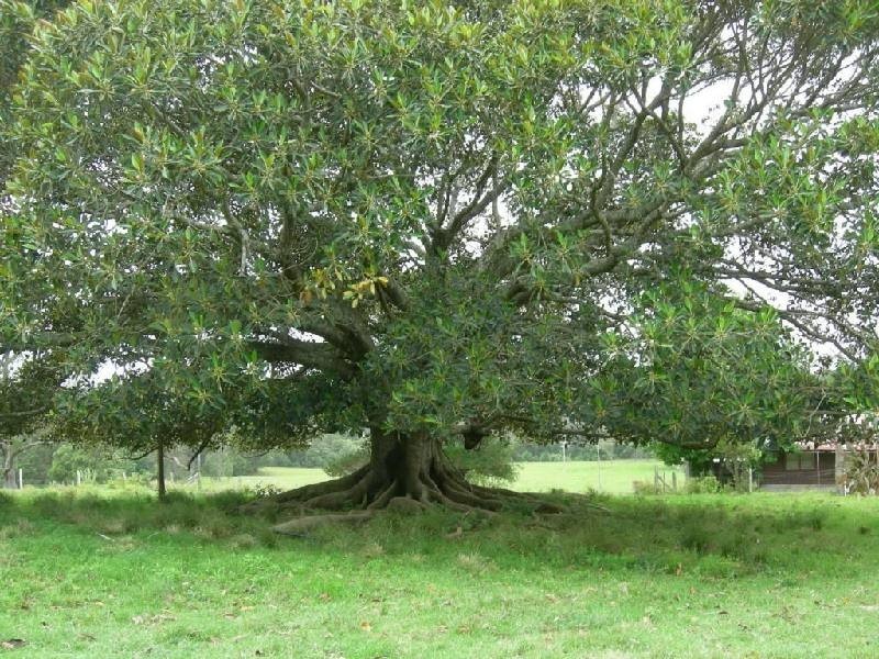 Koorainghat NSW 2430