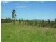 Wingham NSW 2429