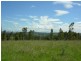 Wingham NSW 2429