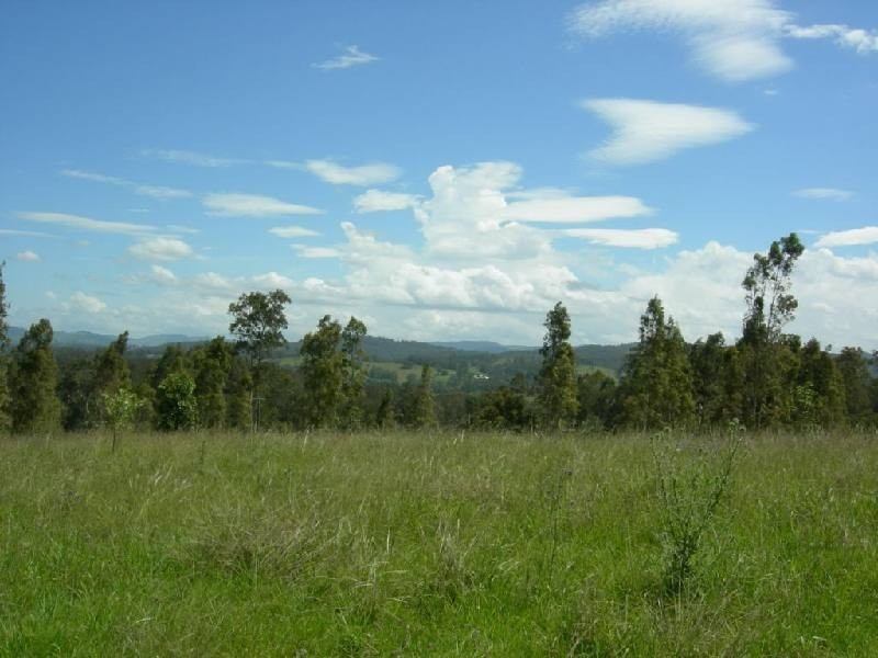 Wingham NSW 2429