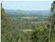 Wingham NSW 2429